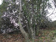 nte Fontane-201011107 060